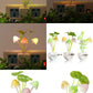Mushroom LED Night Light